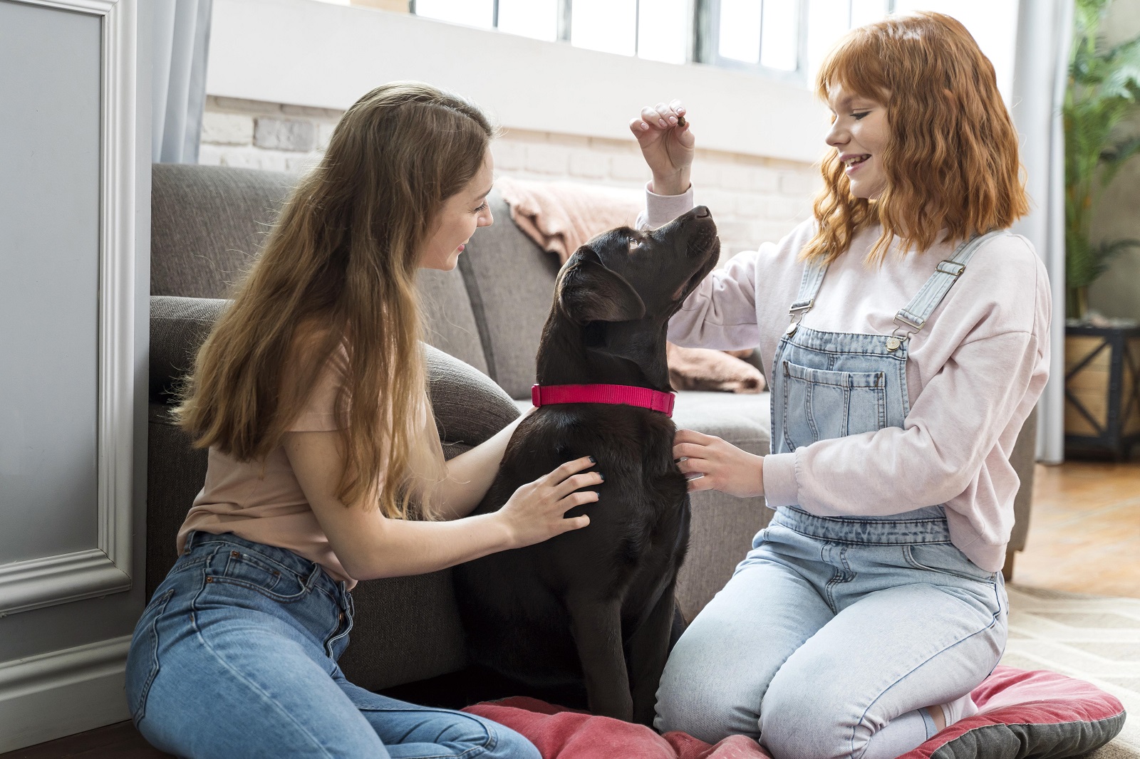 full-shot-donne-e-cane-in-soggiorno